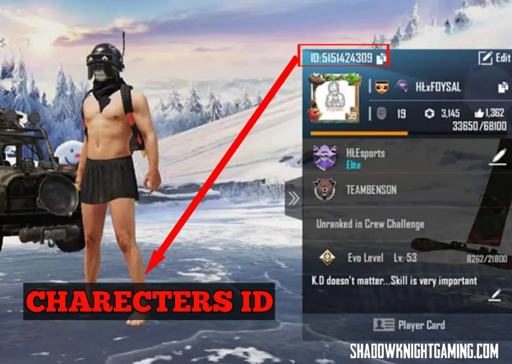 PUBG Mobile Character id