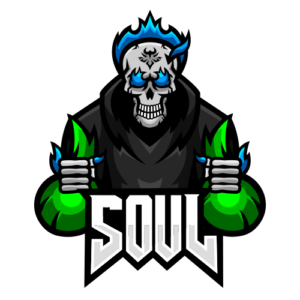 Team Soul logo