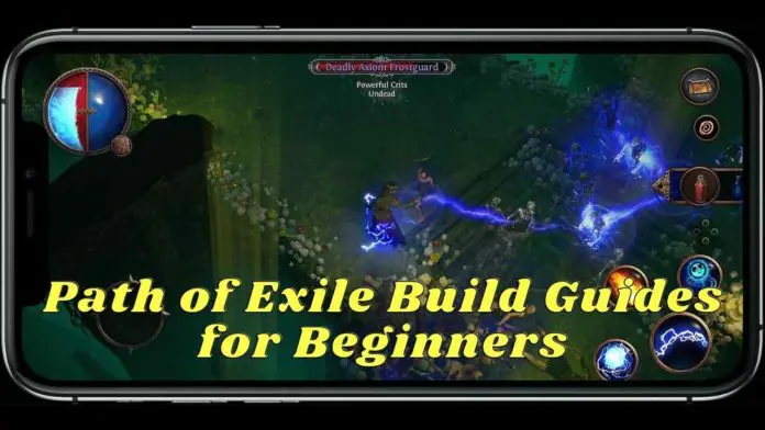 Path of Exile Build Guides for Beginners 696x392 1