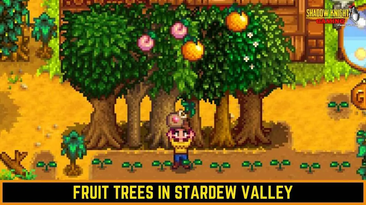 Colhendo frutas em árvores do vale Stardew