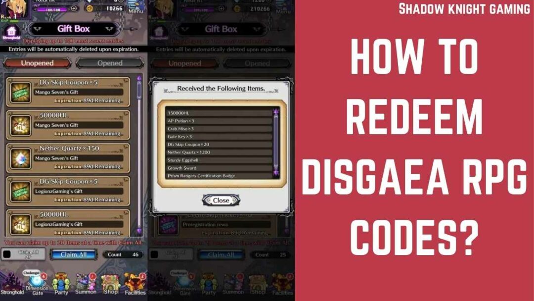 How to Redeem Disgaea RPG Codes?