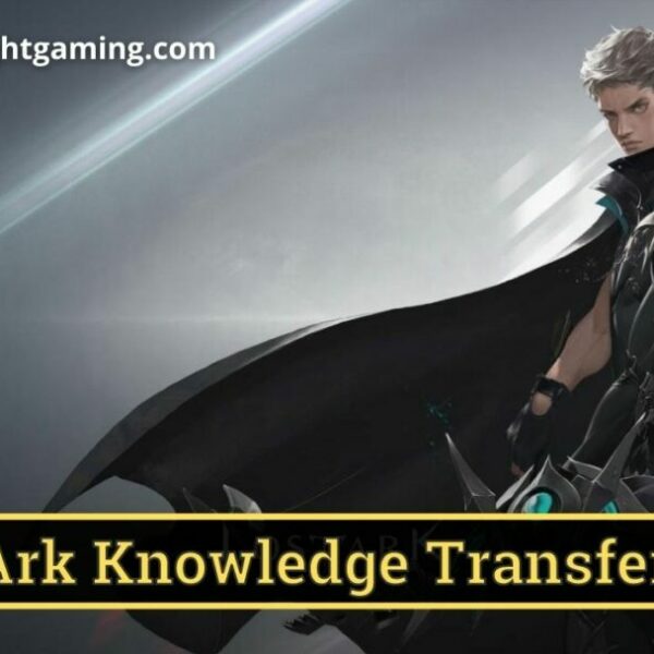 Lost Ark Knowledge Transfer Guide