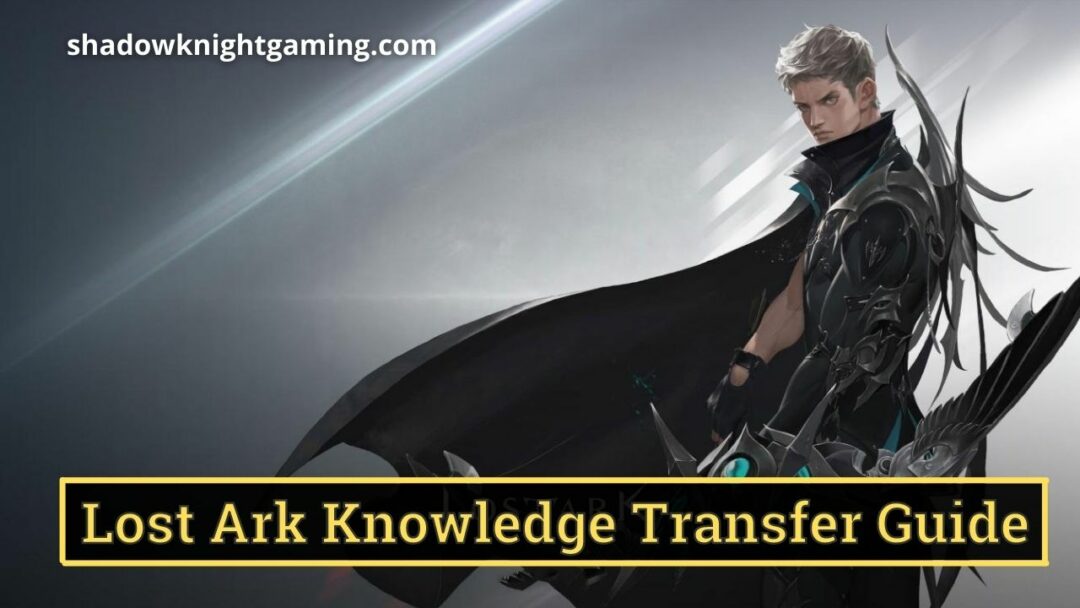 Lost Ark Knowledge Transfer Guide
