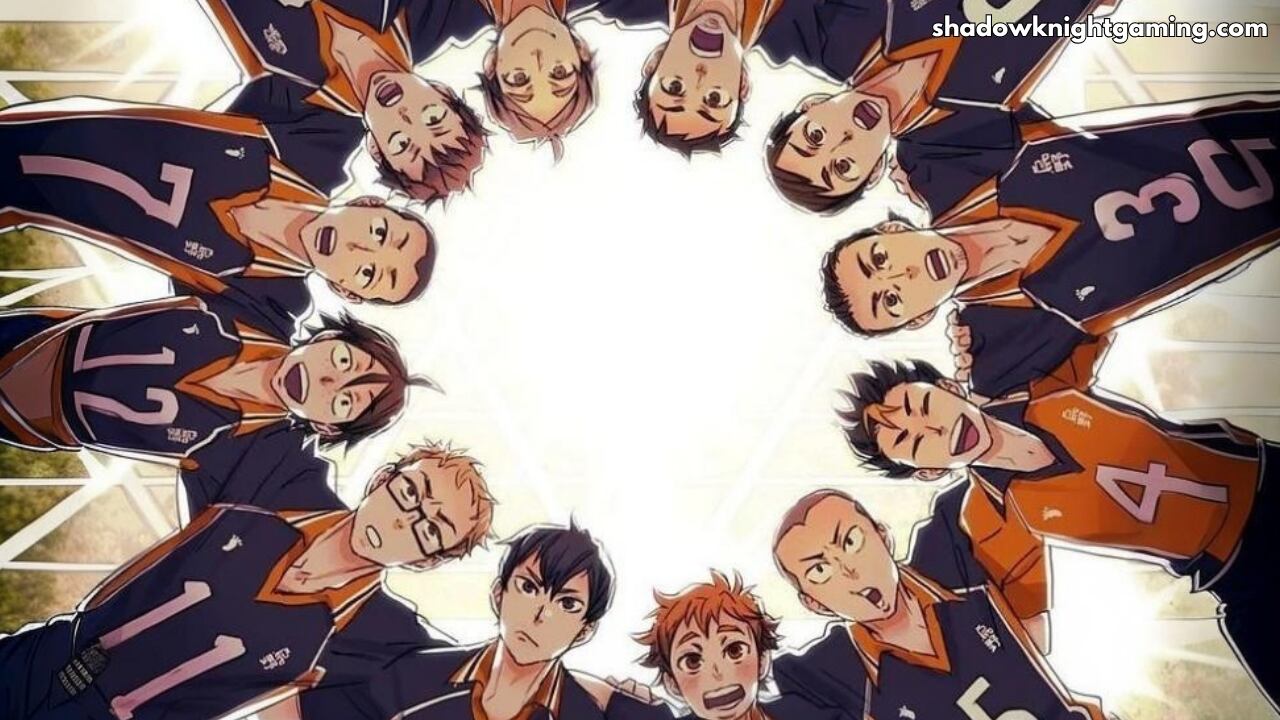 How does it look for the Haikyuu Series