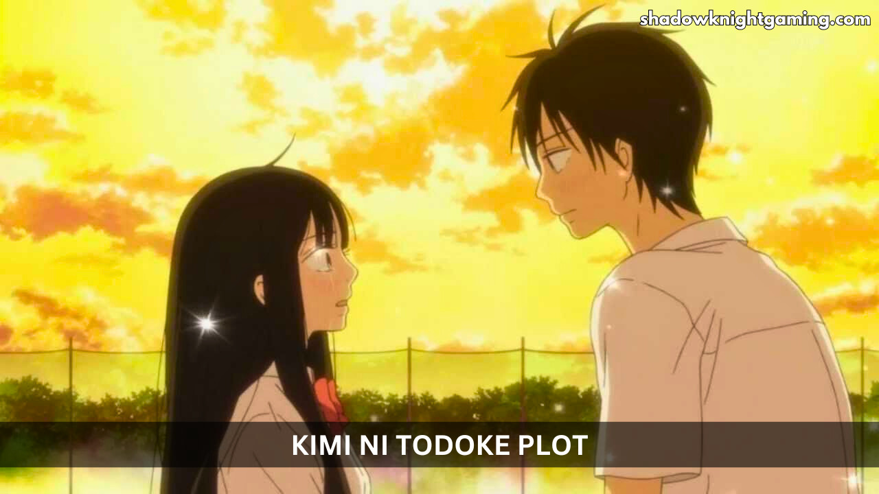 What is Kimi ni Todoke series about