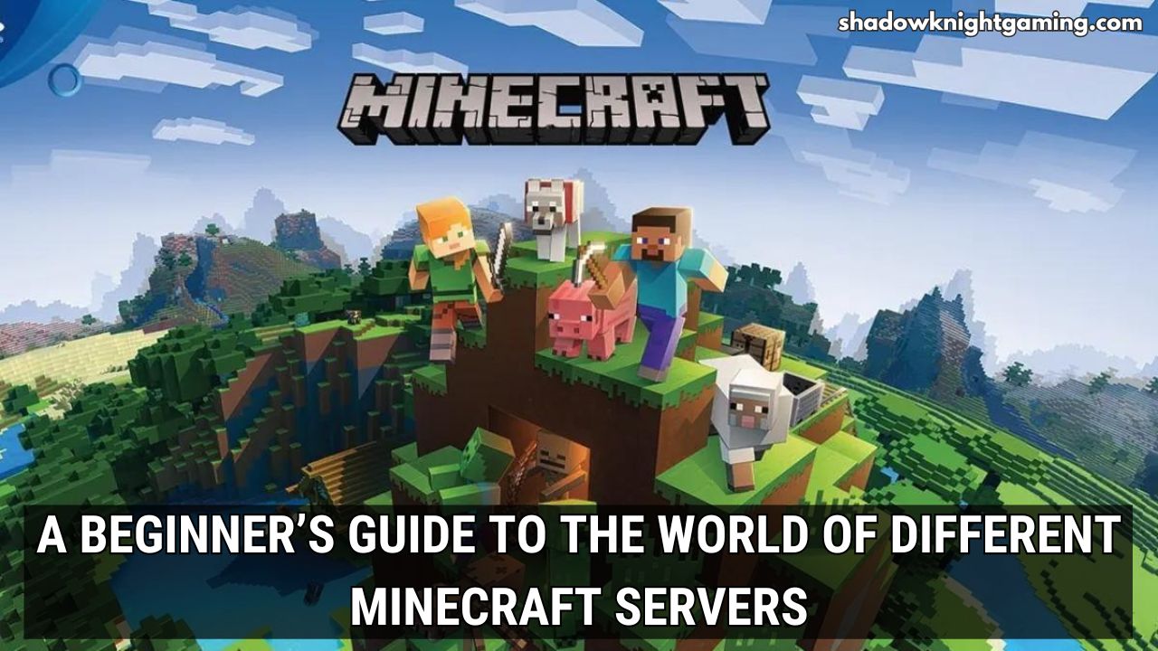 A Beginner’s Guide to the World of Different Minecraft Servers